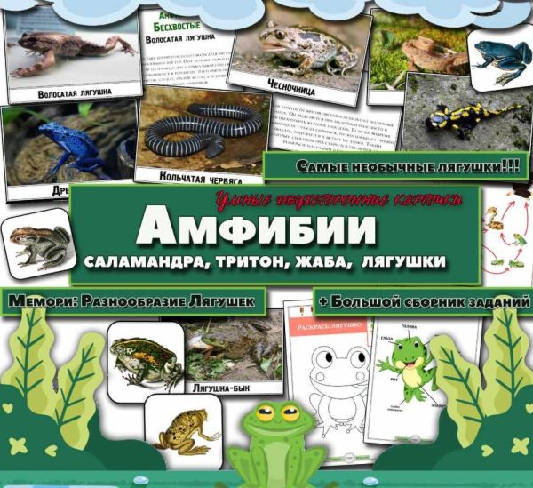 Амфибии. О самых НЕОБЫЧНЫХ земноводны (Елена Солдатова)