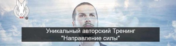 Направление силы (Влад Позье)